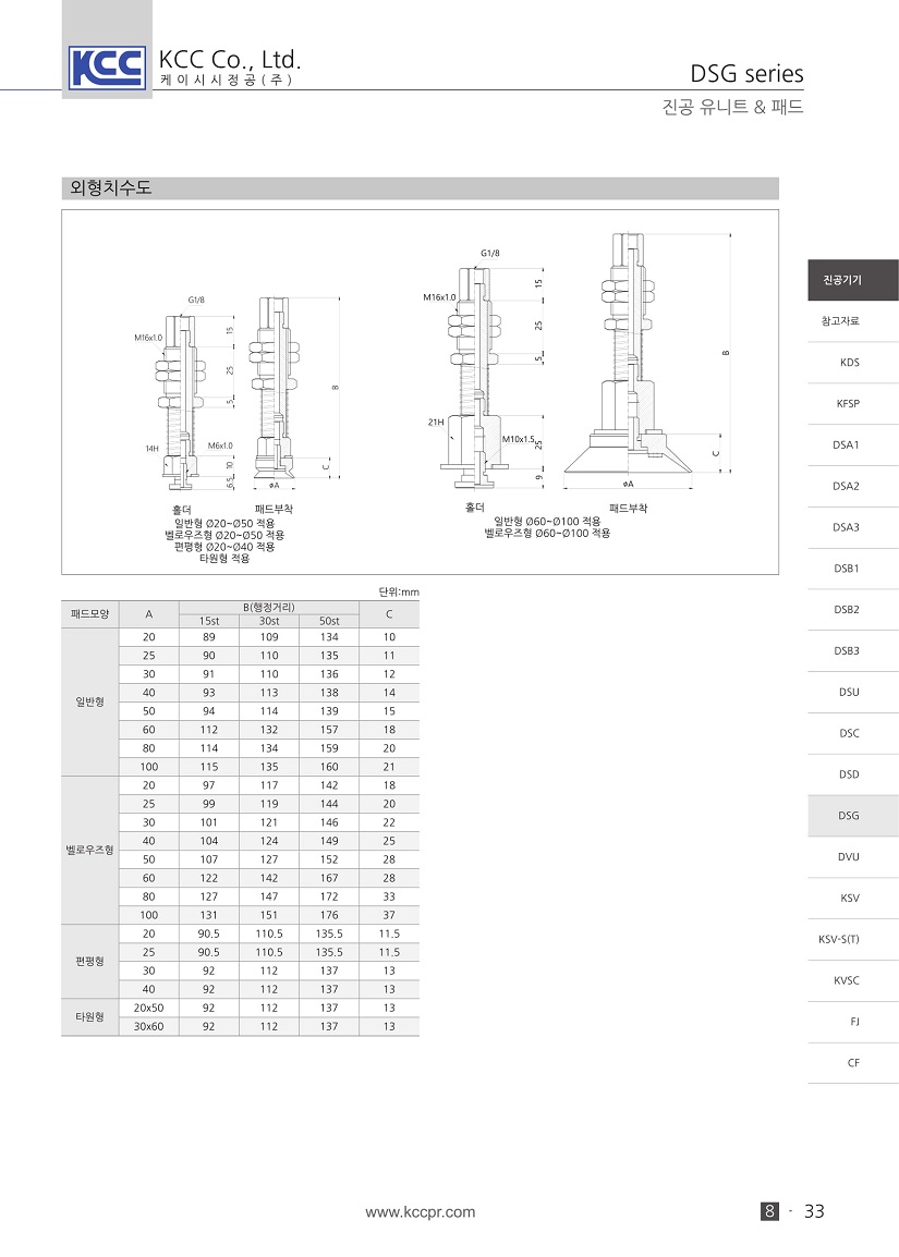 dsg-2.jpg