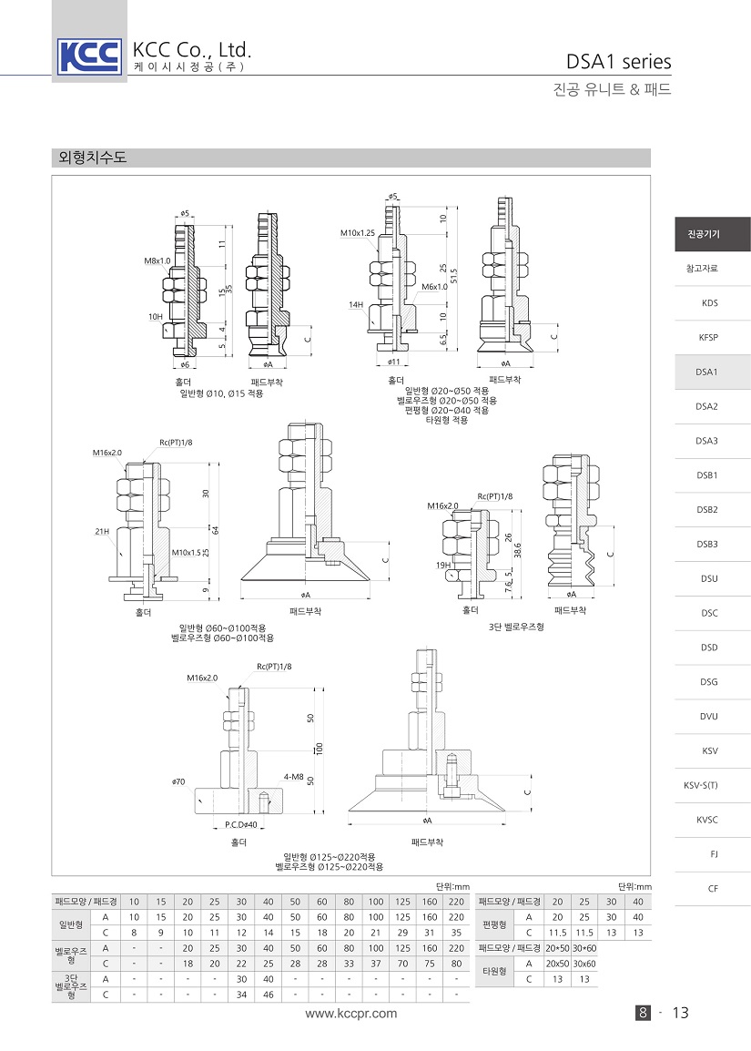 dsa1-2.jpg