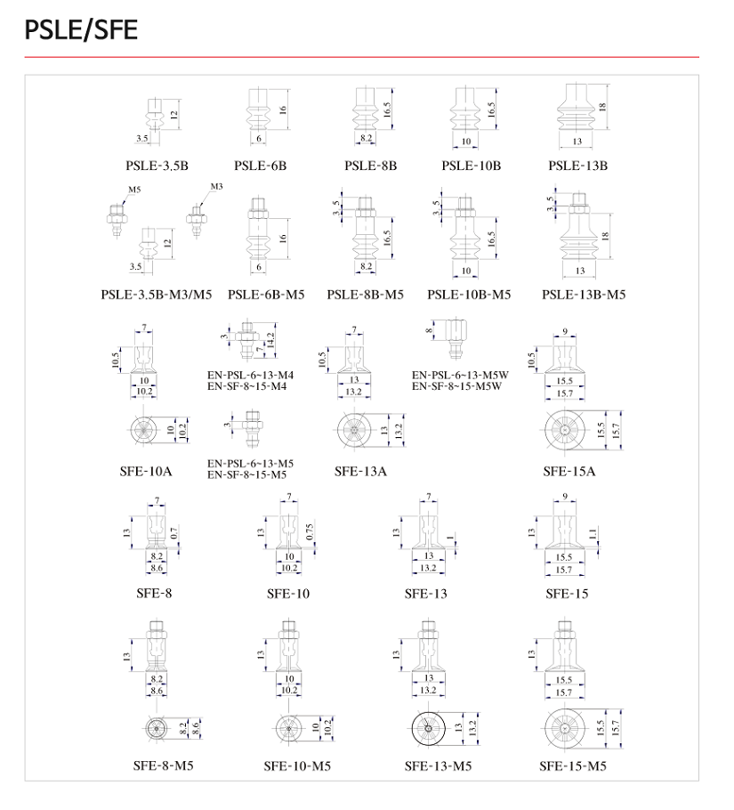 PSLE SFE-01.png