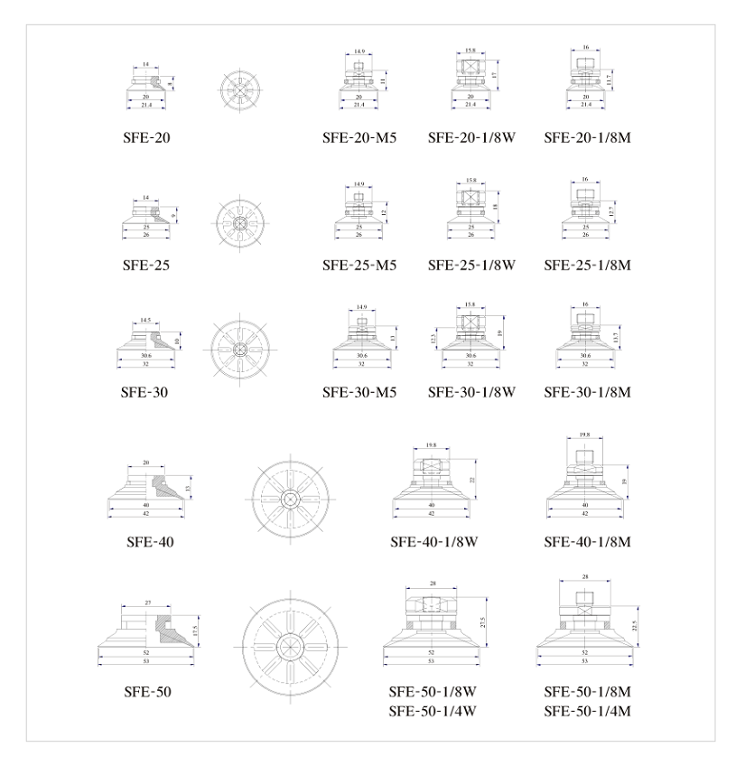 PSLE SFE-02.png