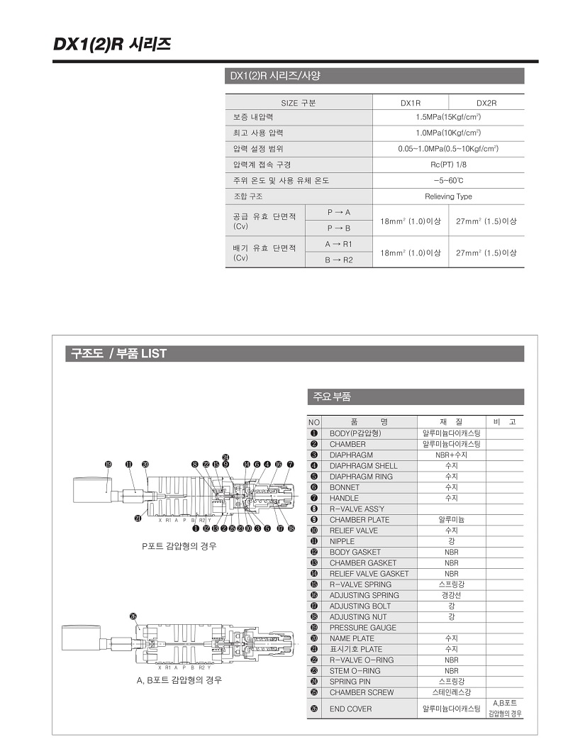 DX1(2)R_171122-2.jpg