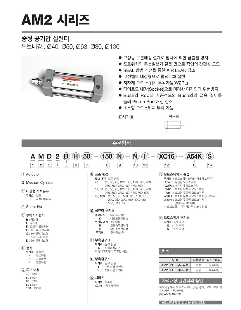 AM2ø-01.jpg