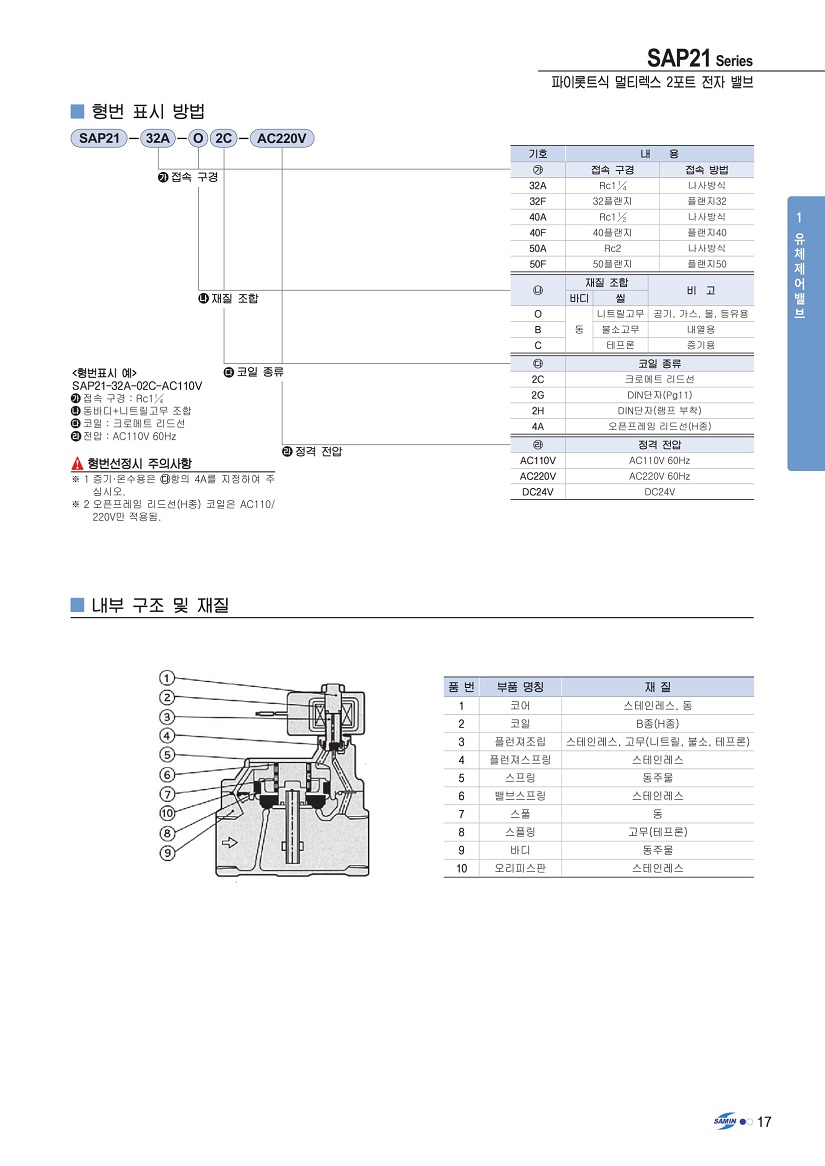 SAP21-2.jpg