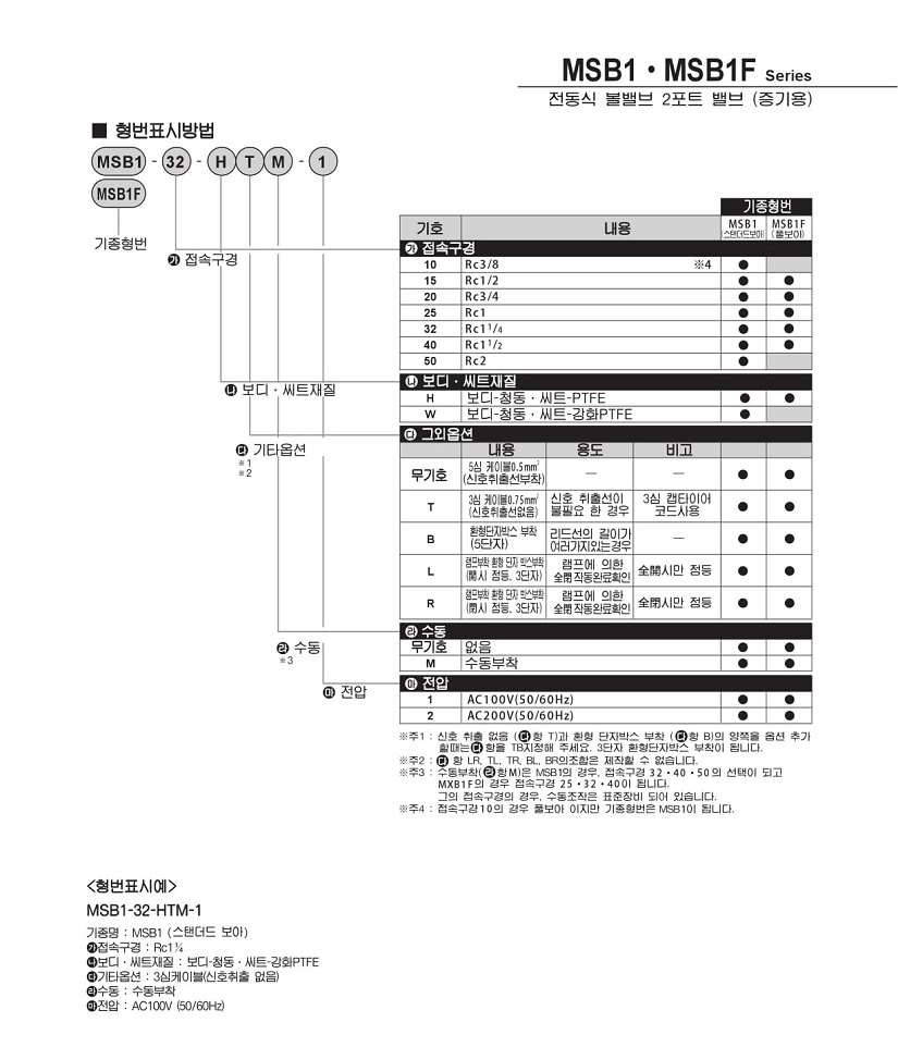 MSB-2.jpg